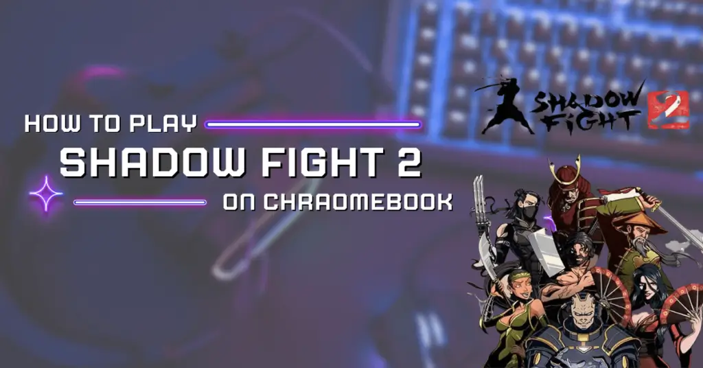 How to Play Shadow Fight 2 on ChromeBook